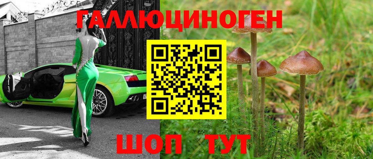 Псилоцибиновые грибы прущие грибы  Вход с VPN  Коряжма 