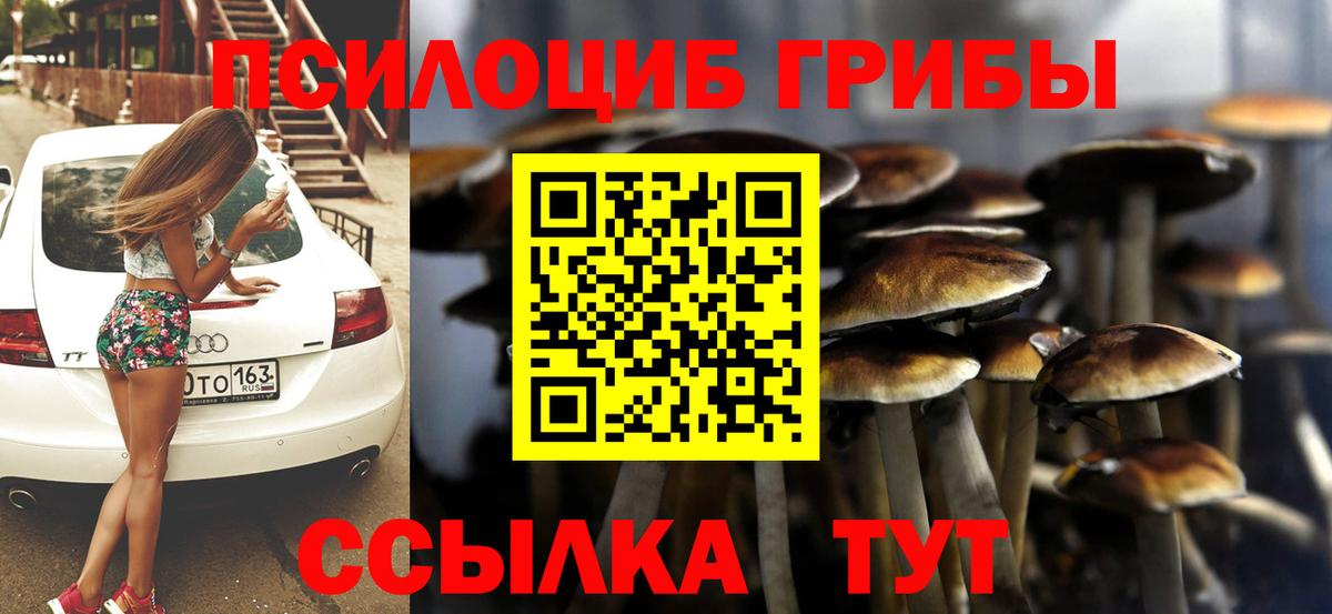Галлюциногенные грибы GOLDEN TEACHER Коряжма